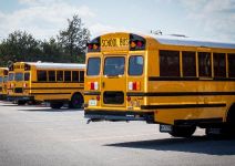  Back of school buses in a parking lot